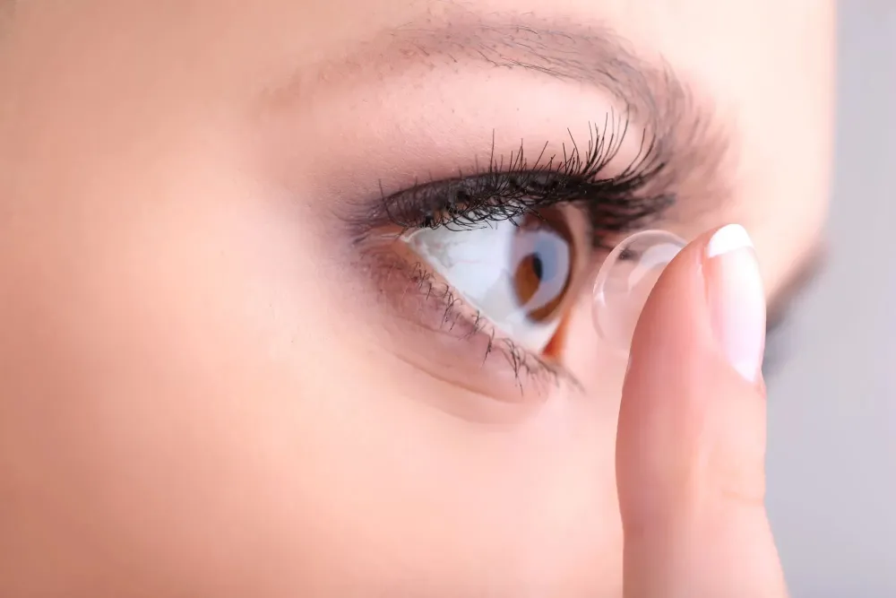 lentilles (2)
